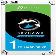 Seagate 1 tb Surveillance Drive